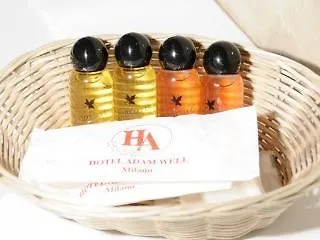 酒店 达拉普利斯德斯阿尔卑斯酒店 巴黎