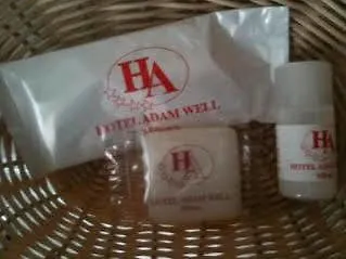 Ξενοδοχείο De La Place Des Alpes 2*