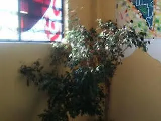 Hotel De La Place Des Alpes 2*